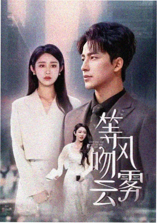 回声之外 在线观看电视剧